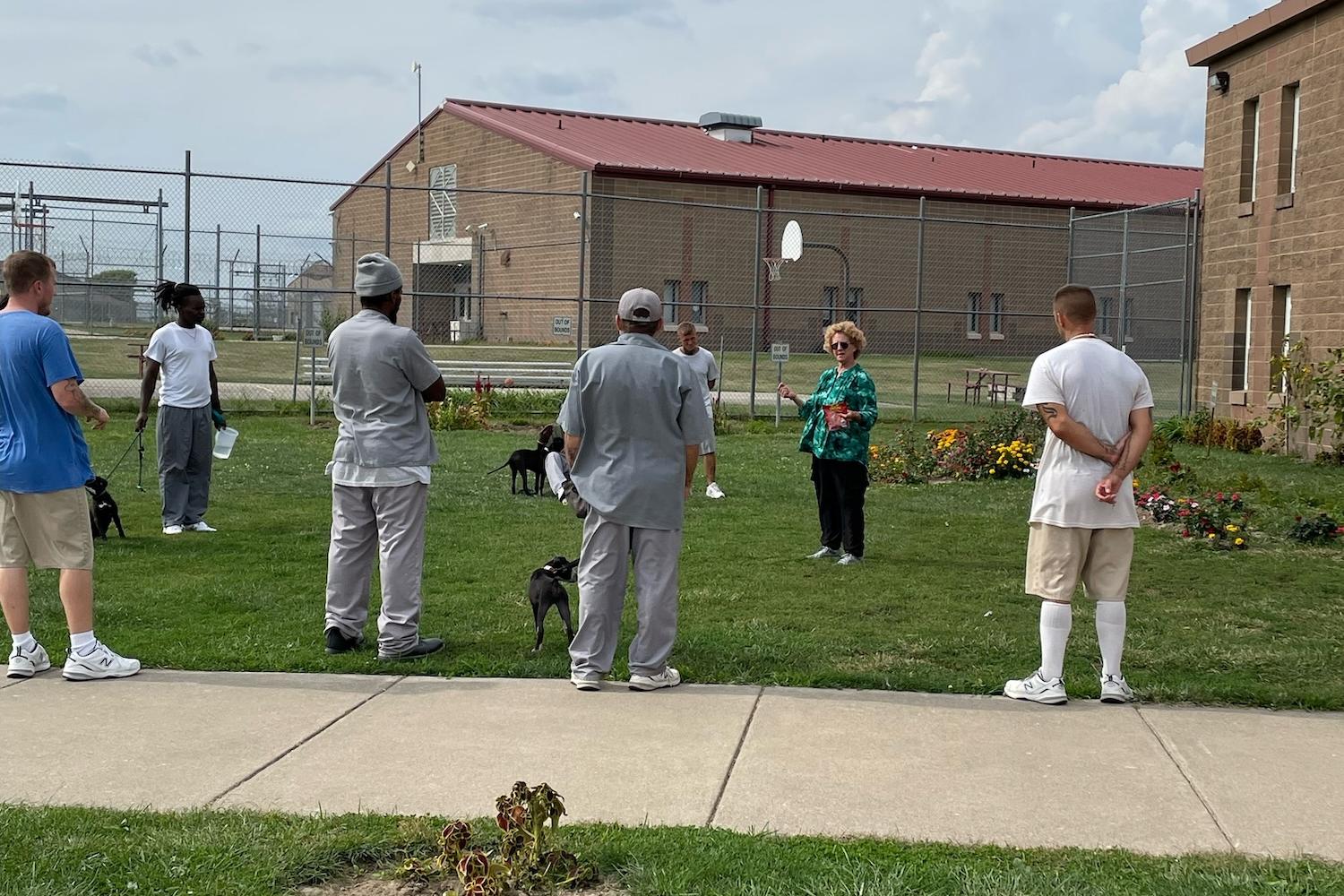 program that connects incarcerated people to train shelter dogs in missouri